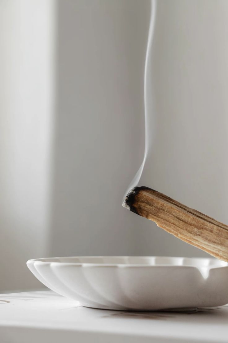 Palo Santo – O Incenso Natural da Purificação
