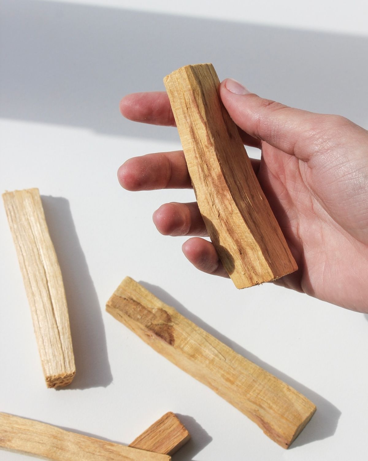 Palo Santo – O Incenso Natural da Purificação