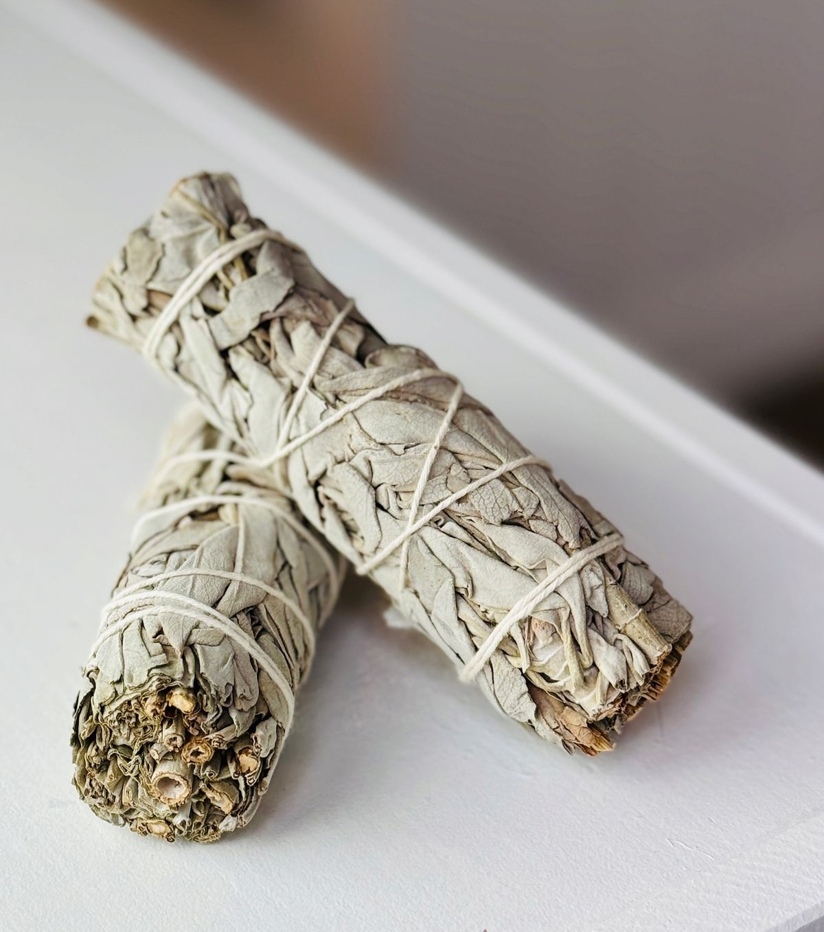 Sálvia Branca com Alecrim – Limpeza e Proteção Energética em Cada Defumação